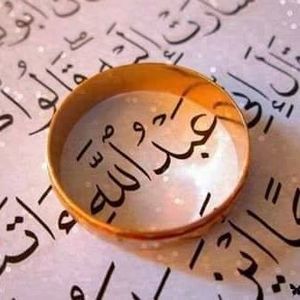 Meet your Posher, Dina